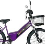 Bicicleta Elétrica New Confort 800W 48V 15Ah: mobilidade silenciosa e sem poluição para o dia a dia. - Imagem 4