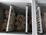 Divisória Ajustável para Freezer Horizontal: organize e conserve melhor seus alimentos com instalação prática e encaixe versátil. - Imagem 4