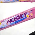 Bicicleta Infantil Feminina Aro 20 Princesa Hannah Husky: segurança, conforto e design encantador para meninas de 7 a 12 anos. - Imagem 3
