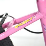 Bicicleta Infantil Feminina Aro 20 Princesa Hannah Husky: segurança, conforto e design encantador para meninas de 7 a 12 anos. - Imagem 7