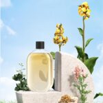 Difusor automático de perfume, 50 ml, difusor de aromaterapia de velocidades, umidificador de fria – portátil, bateria de longa duração, pequeno umidificador para plantas, quarto, animais - Imagem 7