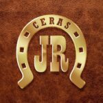 Cera Hidratante para Couro JR 60g: hidrata, protege e dá brilho natural ao couro, mantendo-o sempre novo. - Imagem 7