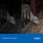 Tapo C320WS: câmera externa 2K QHD com visão noturna colorida e detecção IA para máxima segurança. - Imagem 6