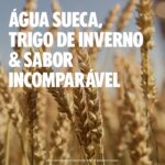 Vodka Absolut Raspberri 750 ml: sabor leve e versátil, perfeita para drinks, com embalagem sustentável em vidro reciclado. - Imagem 7