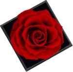 Rosa eterna com colar Eu te amo em 100 idiomas, presente romântico para Dia dos Namorados, Mães ou aniversário de casamento - Imagem 3