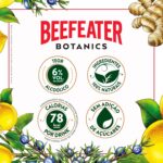 Beefeater Botanics Limão e Gengibre 750 ml: sabor cítrico e refrescante para elevar seus drinks com qualidade premium. - Imagem 6