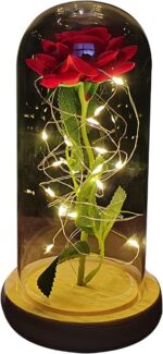 Rosa eterna ZWMBYN em cúpula de vidro com LED: presente romântico para ela, ideal para Dia dos Namorados e aniversário. - Imagem 6