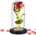 Rosa Vermelha em Cúpula com LED: presente romântico e decorativo para Dia das Mães e Dia dos Namorados - Imagem 5