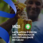 Caixa Lacta Favoritos 250,6g com chocolates sortidos para presentear e compartilhar momentos doces. - Imagem 10