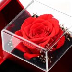Colar Nó Feminino com Caixa de Presente, ideal para Dia dos Namorados, aniversário e casamento - Imagem 6