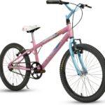 Bicicleta Infantil Feminina Aro 20 Princesa Hannah Husky: segurança, conforto e design encantador para meninas de 7 a 12 anos.