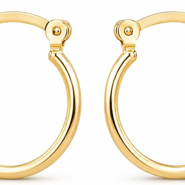 Brinco de Argola Lisa: elegância versátil para compor looks com estilo e praticidade.