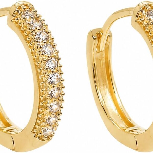 Brinco de Argola Mini Zircônia Dourado: brilho delicado e elegante para купить?