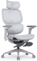 Cadeira DT3 Ergonomie FT: ergonomia premium, suporte SpineSync e ajustes completos para máximo conforto.