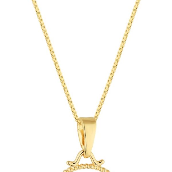 Colar Gato PET Banhado Ouro 18k com Zircônias: elegância para presentear e usar no dia a dia