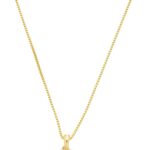Colar Pingente Mini Patinha Pet Vazada Folheado a Ouro 18k: delicadeza e amor por pets em um acessório elegante.