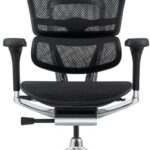 Ergohuman Elite 2: cadeira ergonômica preta com conforto superior, ajuste completo e apoio ideal para longas jornadas.