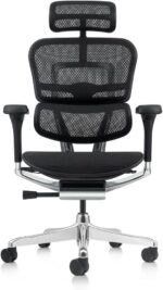 Ergohuman Elite 2: cadeira ergonômica preta com conforto superior, ajuste completo e apoio ideal para longas jornadas.