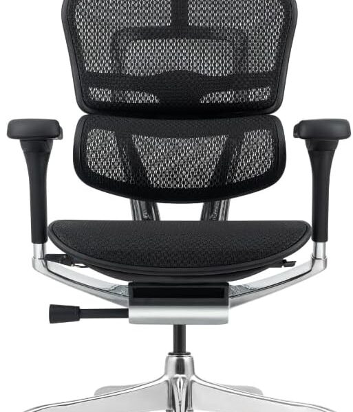 Ergohuman Elite 2: cadeira ergonômica preta com conforto superior, ajuste completo e apoio ideal para longas jornadas.