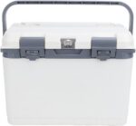 Mini geladeira refrigerador e quente para carro, 15L de caixa de refrigerador isolada, congelador de alimentos portátil para acampamento de piquenique ao ar livre