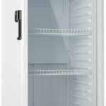 Refrigerador Expositor Vertical EOS 231L