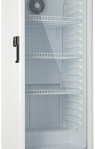Refrigerador Expositor Vertical EOS 231L
