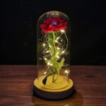 Rosa eterna ZWMBYN em cúpula de vidro com LED: presente romântico para ela, ideal para Dia dos Namorados e aniversário.