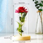 Rosa eterna ZWMBYN em cúpula de vidro com LED: presente romântico para ela, ideal para Dia dos Namorados e aniversário. - Imagem 2