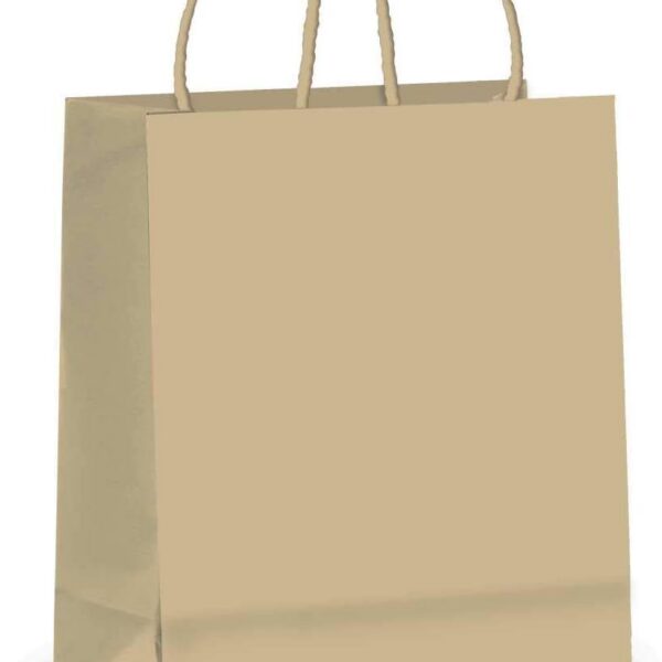 Sacola de Papel Kraft Cromus 26x19,5x9,5 cm com 10 unidades, resistente e ideal para presentes e compras.
