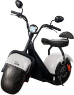 TUI MAIS Elétrico 2 Lugares 1000W: conforto, autonomia de até 60 km e segurança para suas viagens diárias.
