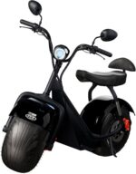 TUI MAIS elétrico 2 lugares 1000W: conforto, autonomia e segurança para sua mobilidade.
