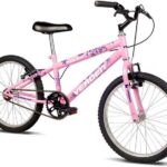 Verden Bicicleta Infantil Folks Aro 20 com aros de alumínio: resistência, segurança e conforto para a diversão das crianças.